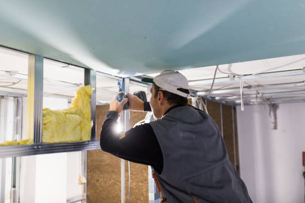 Best Insulation for Specific Applications in Braselton, GA