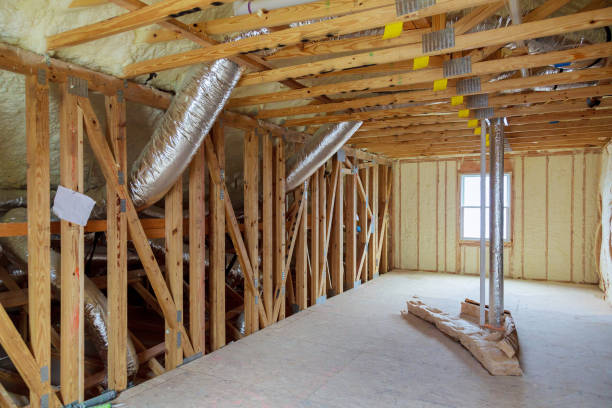 Best Specialized Insulation Services in Braselton, GA