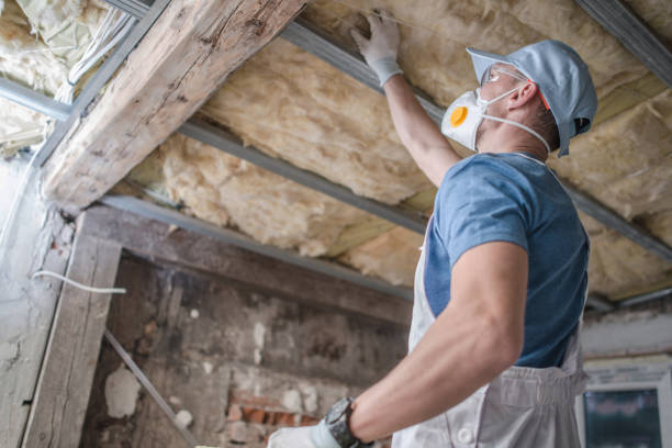 Best Eco-Friendly Insulation in Braselton, GA