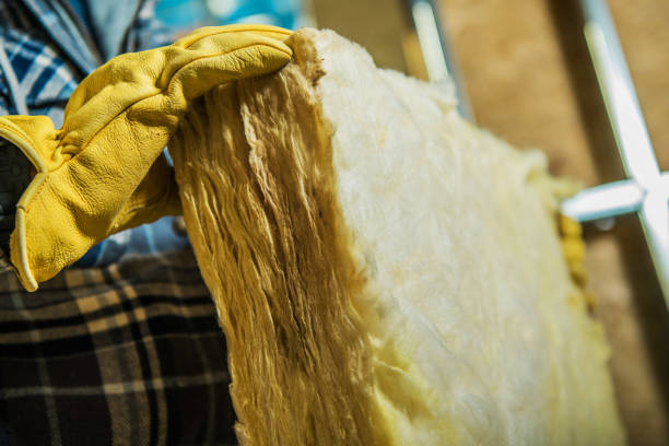 Best Fiberglass Insulation in Braselton, GA