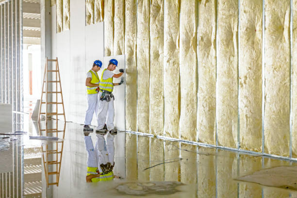 Best Geographic-Specific Insulation Services in Braselton, GA